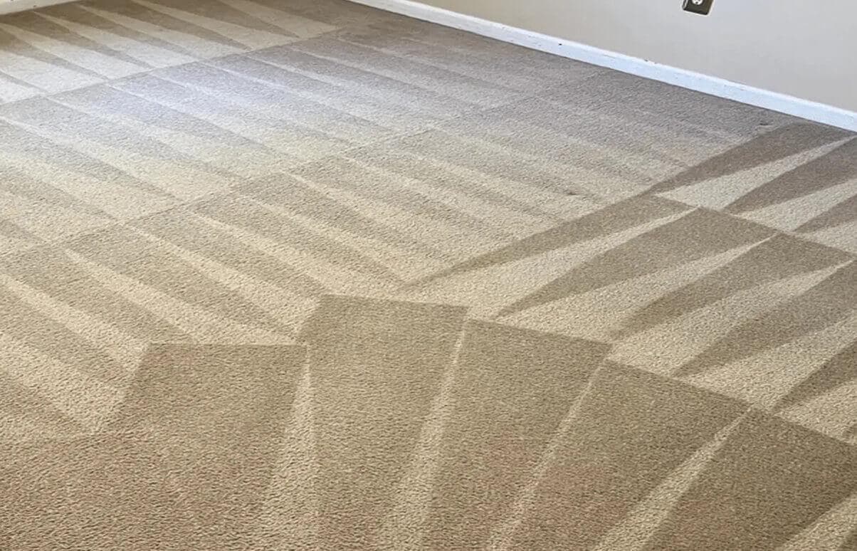 Freshly extracted carpet with professional cleaning lines across a neutral lounge floor after carpet cleaning